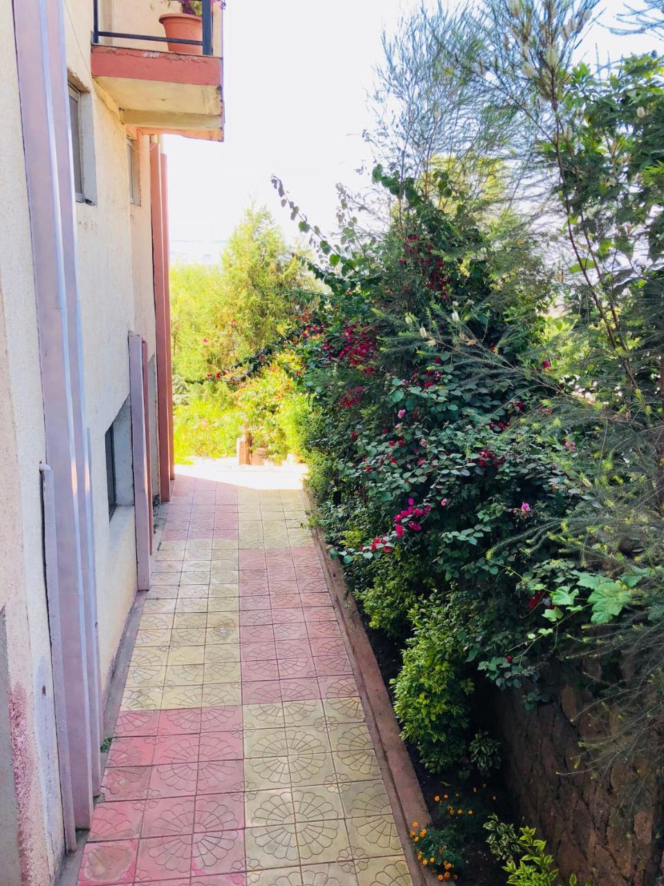Red Rock Lalibela Hotel Lalībela Exterior foto